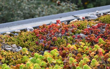 the cost of Eastbridge green roof installation