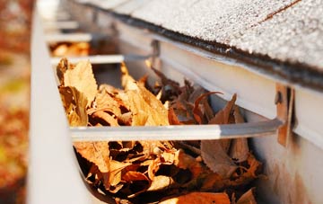 Eastbridge gutter cleaning companies