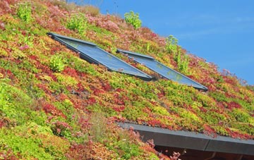 Eastbridge living roof systems