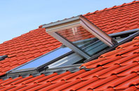 Eastbridge roof window